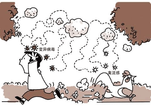 台湾屏东、花莲屠宰场土鸡检出H5N2禽流感