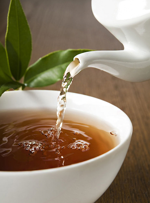 夏桑菊