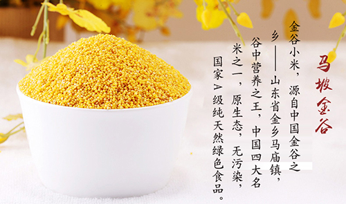 先尝鲜 金乡小米