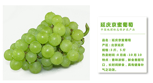 先尝鲜 延庆有机葡萄