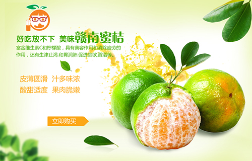 先尝鲜 赣南寻乌蜜桔