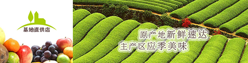 先尝鲜 基地直供水果