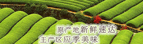 先尝鲜 基地水果直供店