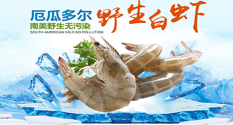 白虾