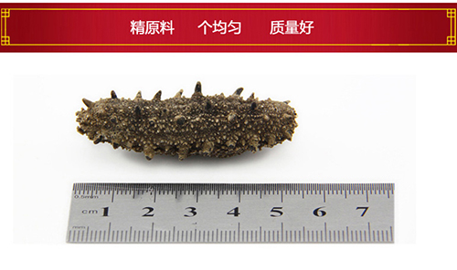 先尝鲜 淡干海参