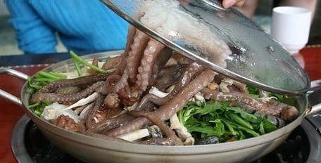 活章鱼：韩国