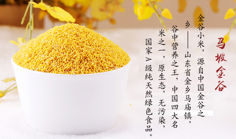 世界粮食日
