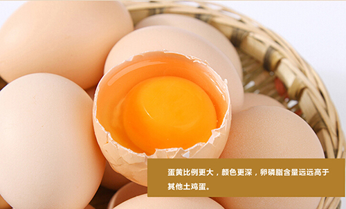 鸡蛋