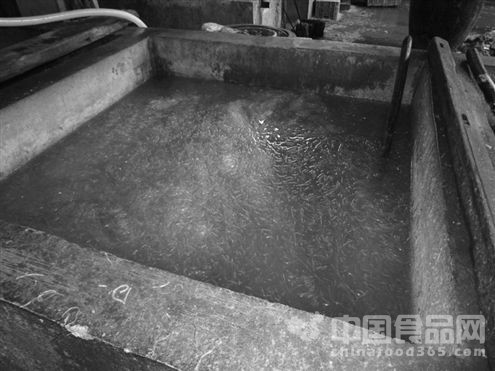 济南查处“化学粉条” 甲醛含量超标400多倍