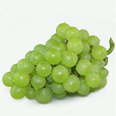 延庆京蜜 玉葡萄 3斤 现摘现发 有机葡萄