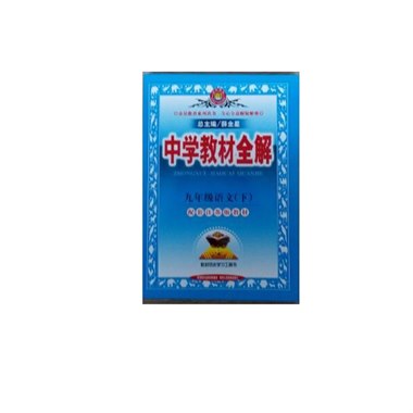 中学教材全解 九年级下 语文