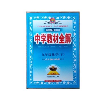 中学教材全解 九年级下 化学 