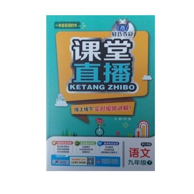 课堂直播 语文 九年级下 