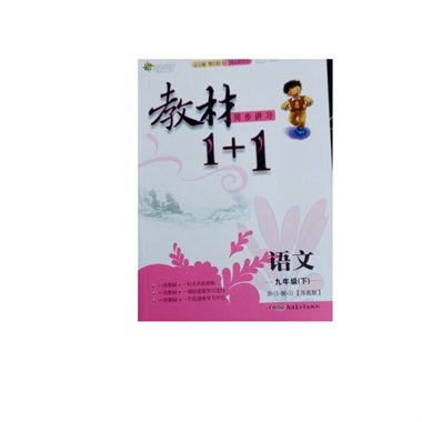 教材1+1 语文 九年级下