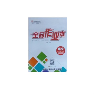 全品作业本 语文 九年级 上册