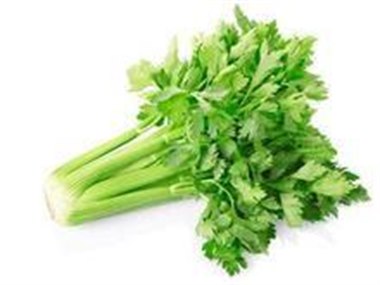 芹菜
